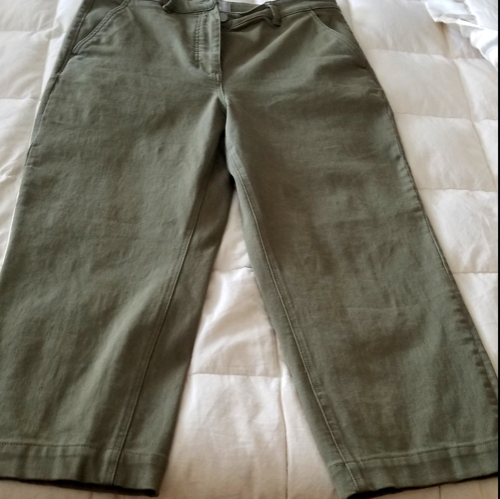 Everlane cropped wide leg pant